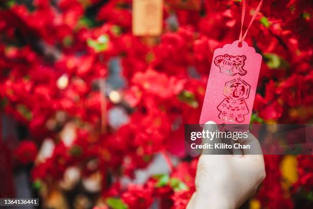chinese new year- year of the tiger paper-cutting decorations hanging on a plum blossom tree - anno della tigre foto e immagini stock