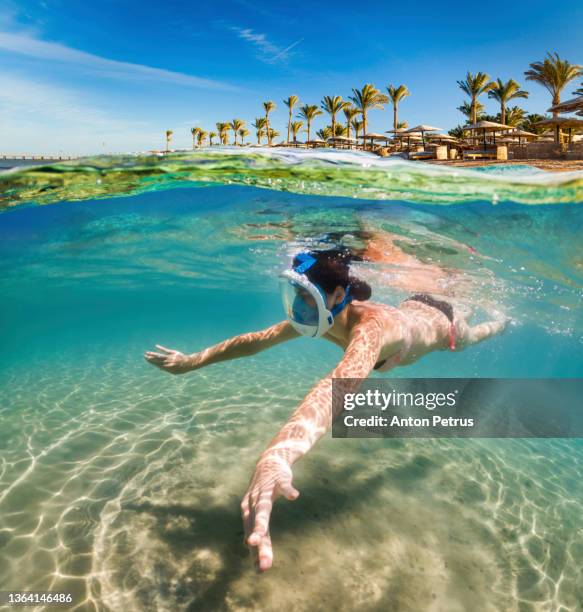 woman snorkeling close to coral reef, red sea, egypt. - marsa alam stock pictures, royalty-free photos & images