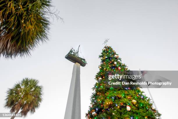 christmas tree , in florida, usa - plantation florida stock pictures, royalty-free photos & images