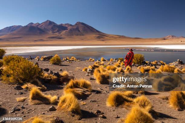 traveler in a poncho at the altiplano high plateau, bolivia - 南美 個照片及圖片檔