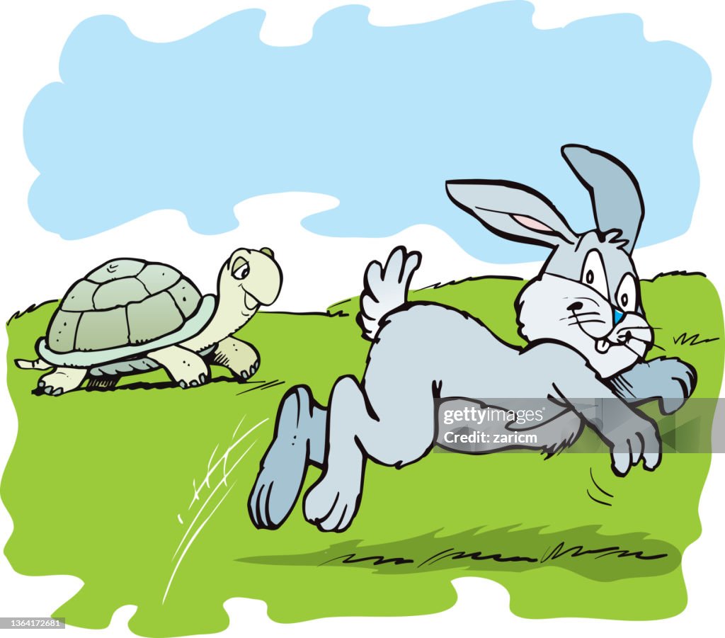 Turtle And Rabbit Race High-Res Vector Graphic - Getty Images