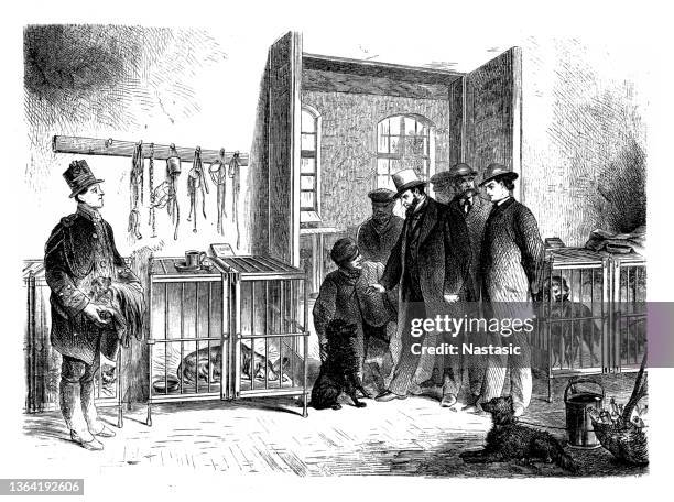 in the dog hospital - dog lying on back stock illustrations