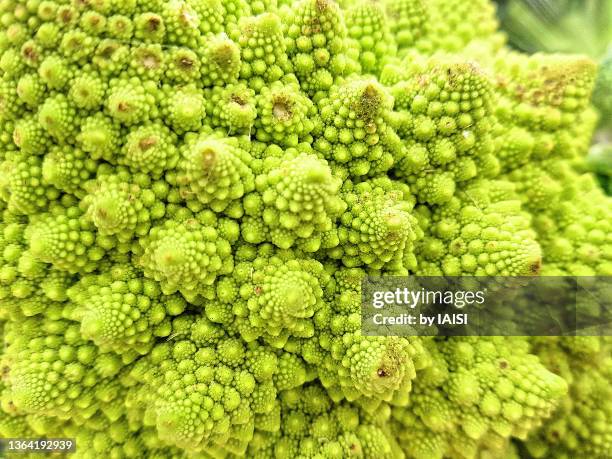 vegan food, close-up of the amazing fractal romanesco cauliflower - chou romanesco stock pictures, royalty-free photos & images