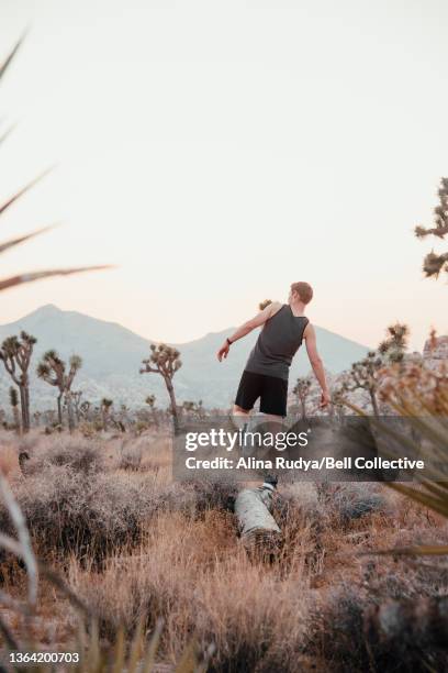 man in joshua tree national park - nationalpark joshua tree stock pictures, royalty-free photos & images