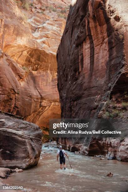 man walking through a canyon river - estrechos de zion fotografías e imágenes de stock