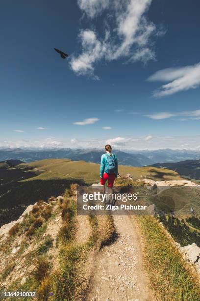vertical photo of woman mountaineer walking on narrow trail - seceda, dolomites - claus lange stock pictures, royalty-free photos & images