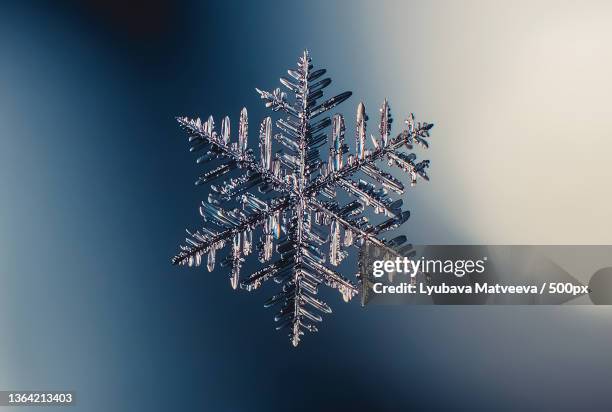 close-up of snowflake decoration - snowflake bildbanksfoton och bilder