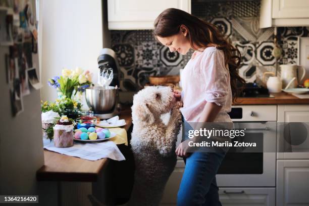 easter picture with a pet and a young woman - dog easter stock-fotos und bilder