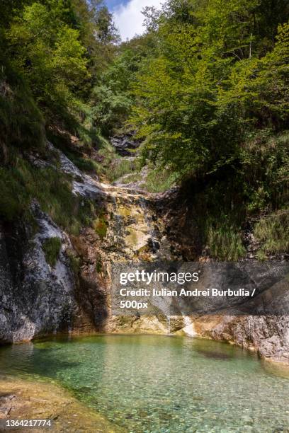 mountain landscape,scenic view of river amidst trees in forest,via caltene,cesiomaggiore,belluno,italy - iulian andrei stock-fotos und bilder