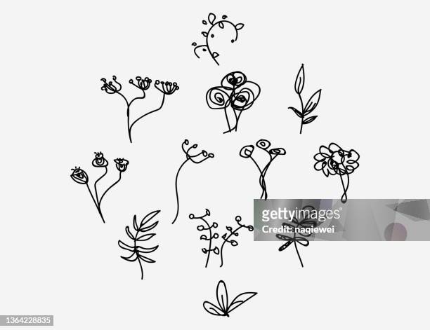 set of hand drawn line plants branch floral pattern,doodle design elements - 花序 幅插畫檔、美工圖案、卡通及圖標