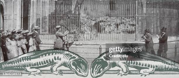 264点の動物園 檻イラスト素材 Getty Images 264点の動物園 檻イラスト素材 Getty Images