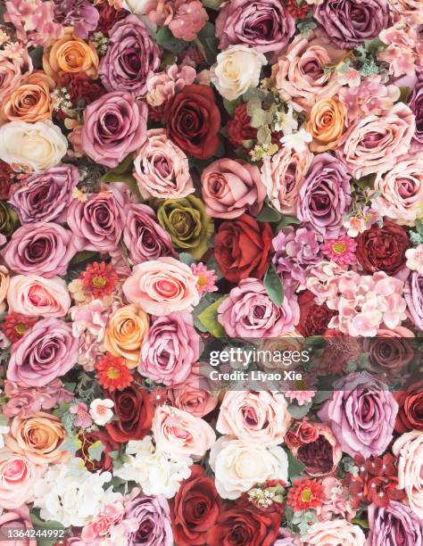 rose background - wedding background stock pictures, royalty-free photos & images