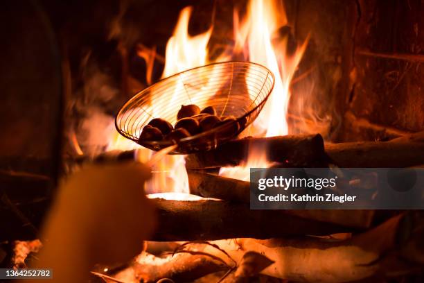 child roasting chestnuts at fireplace, using metal wire - chestnut stock pictures, royalty-free photos & images
