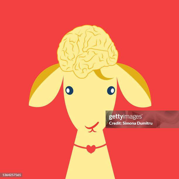 illustration of a baby lamb with a brain as a hair style looking innocent - animal sacrifice stock pictures, royalty-free photos & images