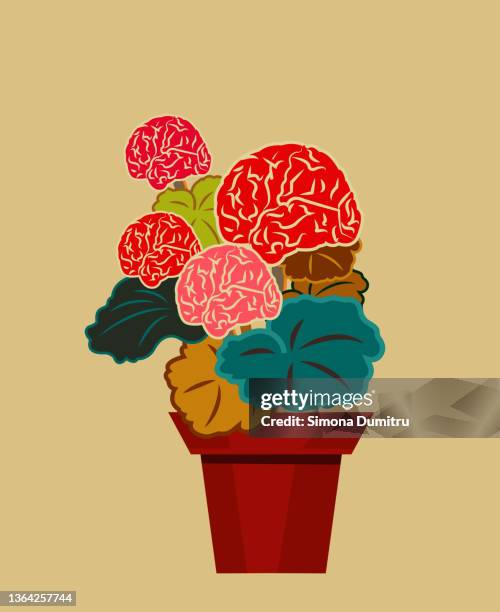 illustration of a geranium flower with its flowers as brains - genius icon stock pictures, royalty-free photos & images