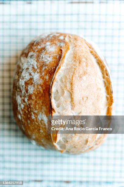 homemade sourdough bread - pane a lievito naturale foto e immagini stock