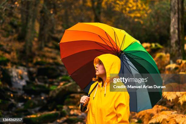 portrait of a woman with a yellow raincoat and colorful umbrella in a forest in the rain in autumn. - november weather stock pictures, royalty-free photos & images