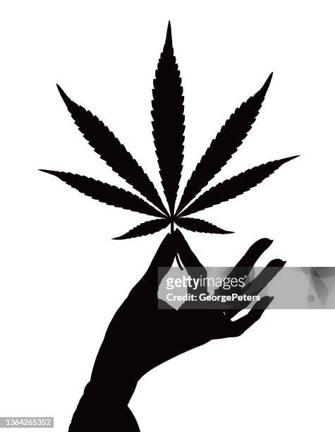 ilustrações, clipart, desenhos animados e ícones de folha de cannabis segurando a mão - cannabis medicinal