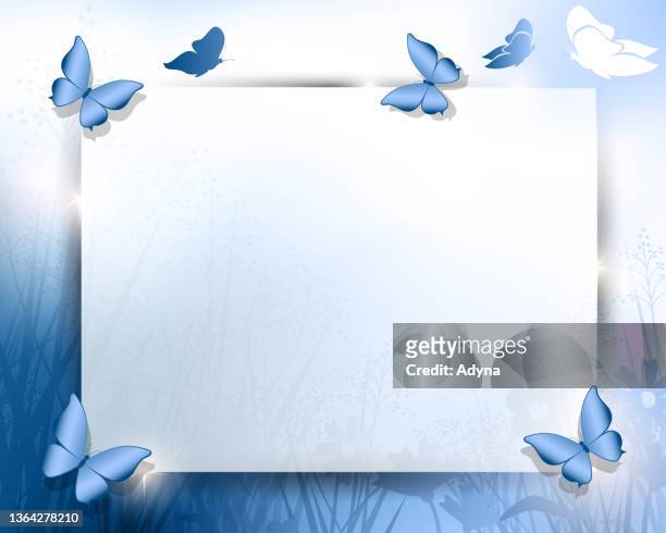 stockillustraties, clipart, cartoons en iconen met blue butterflies - butterfly white background