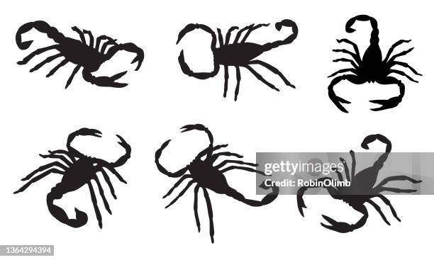 sechs skorpion-silhouetten - skorpion wasserzeichen stock-grafiken, -clipart, -cartoons und -symbole