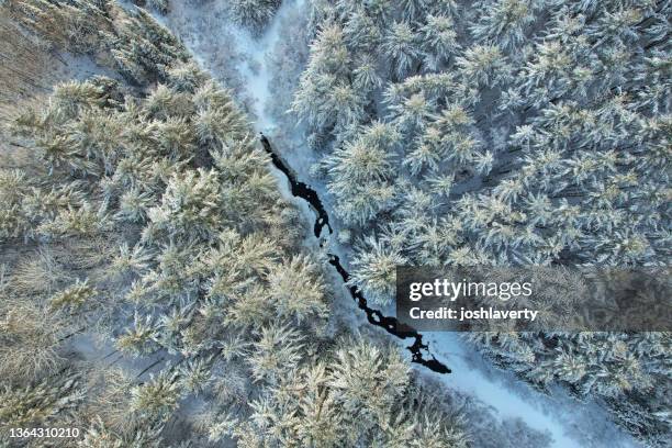 aerial divide - boreal forest stock pictures, royalty-free photos & images