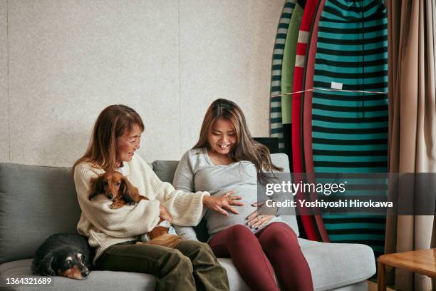 pregnant gen z daughter talks to her senior mother. with pets. - dachshund holiday stock pictures, royalty-free photos & images