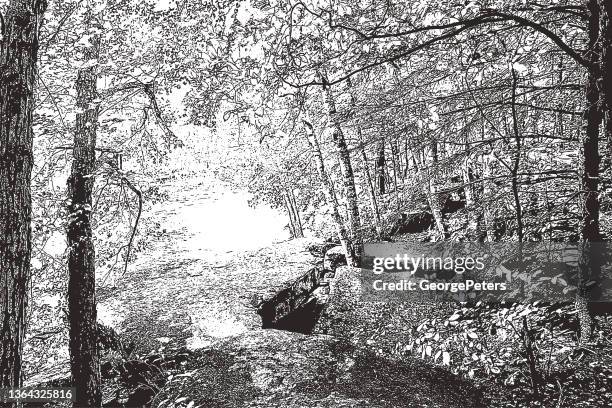 woodland footpath - pen and ink stock illustrations