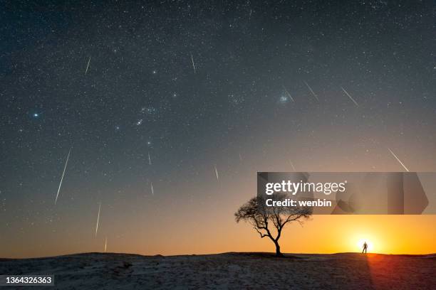 the moon sets and meteors are beside a lonely tree on the grassland - meteor stock-fotos und bilder