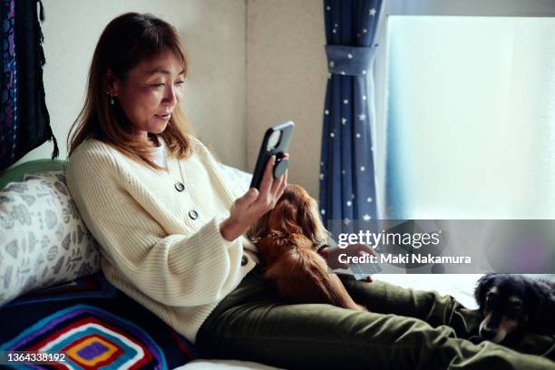 smiling woman holding credit card while using smart phone at home - account dog stock pictures, royalty-free photos & images