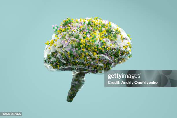 flower brain - smart glass stock-fotos und bilder