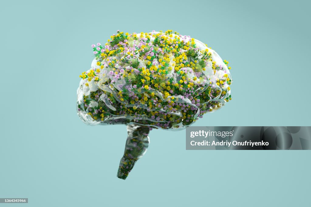 Flower brain