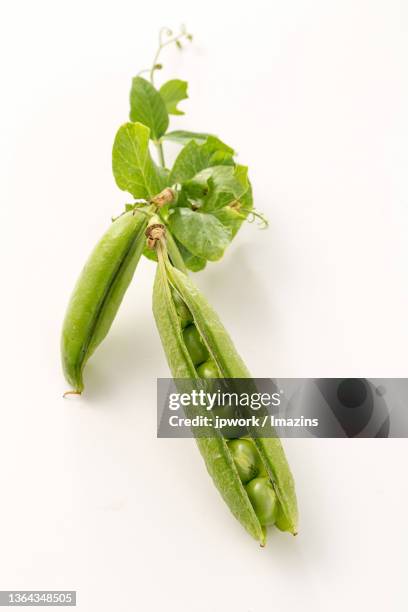 grean peas - エンドウマメの鞘 ストックフォトと画像
