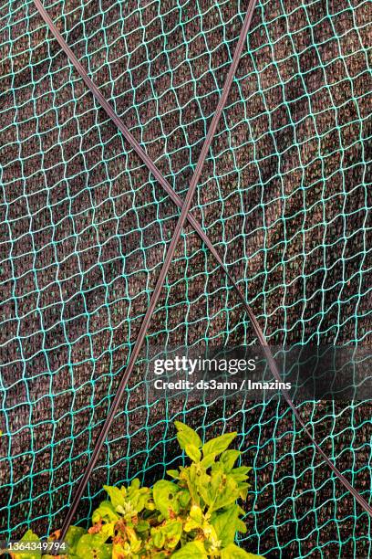 Fish Rope Panels 19 Fish Rope Border Stock Photos, High-Res Pictures, and Images - Getty ...