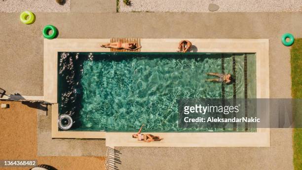 vacation with friends - swimming pool top view stock pictures, royalty-free photos & images