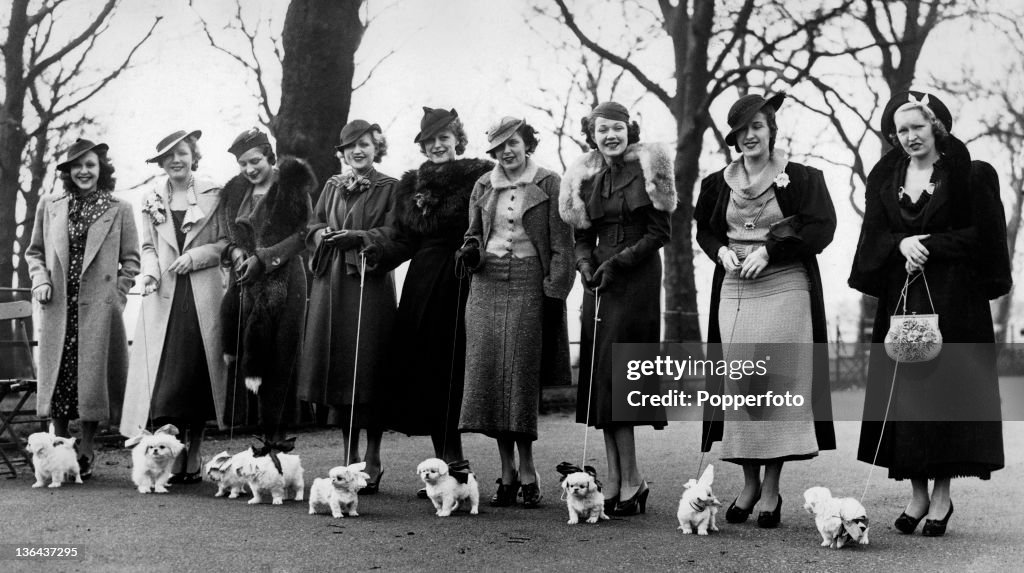 Follies Girls And Their Dogs In London