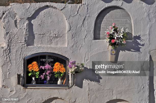 graves with coffin niches in wall in a cemetery, andalusia, spain - niche stock pictures, royalty-free photos & images