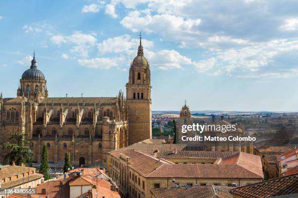 salamanca cathedral and town, spain - salamanca stock pictures, royalty-free photos & images