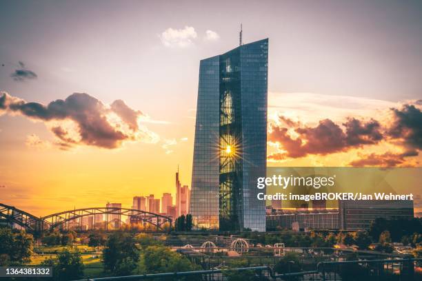 the european central bank, ecb, at golden hour with reflection of the sun in the glass facade and rays of sunlight from the ignatz bubis bridge, frankfurt am main, hesse, germany - ezb stock-fotos und bilder