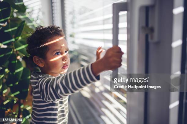 little multiracial boy opening the window at home. - sliding door stock-fotos und bilder