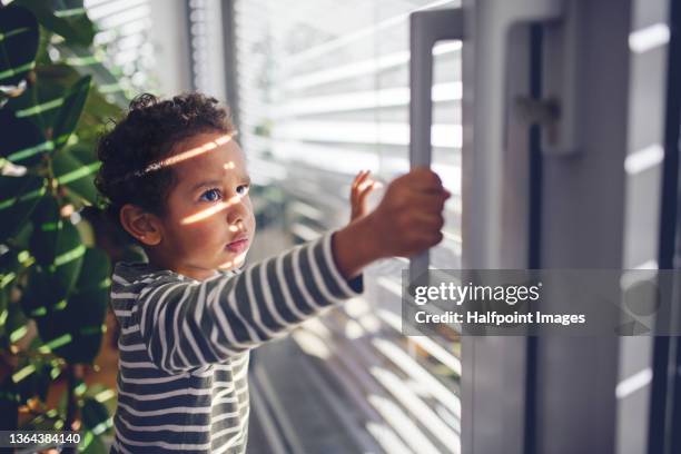 little multiracial boy opening the window at home. - open day 5 stockfoto's en -beelden