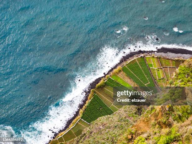 cabo  girao view - funchal stock pictures, royalty-free photos & images