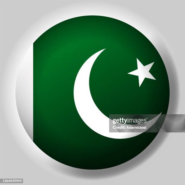 ilustrações de stock, clip art, desenhos animados e ícones de flag of pakistan button - pakistani flag