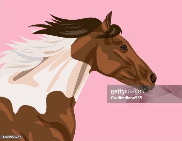 malen oder pinto pferd auf flachem farbhintergrund - haare färben stock-grafiken, -clipart, -cartoons und -symbole