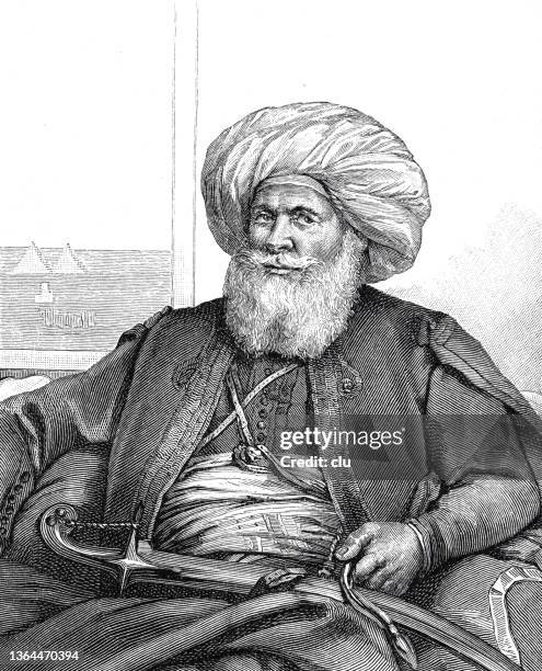 mehmet ali pascha, viceroy of egypt - ottoman empire stock illustrations