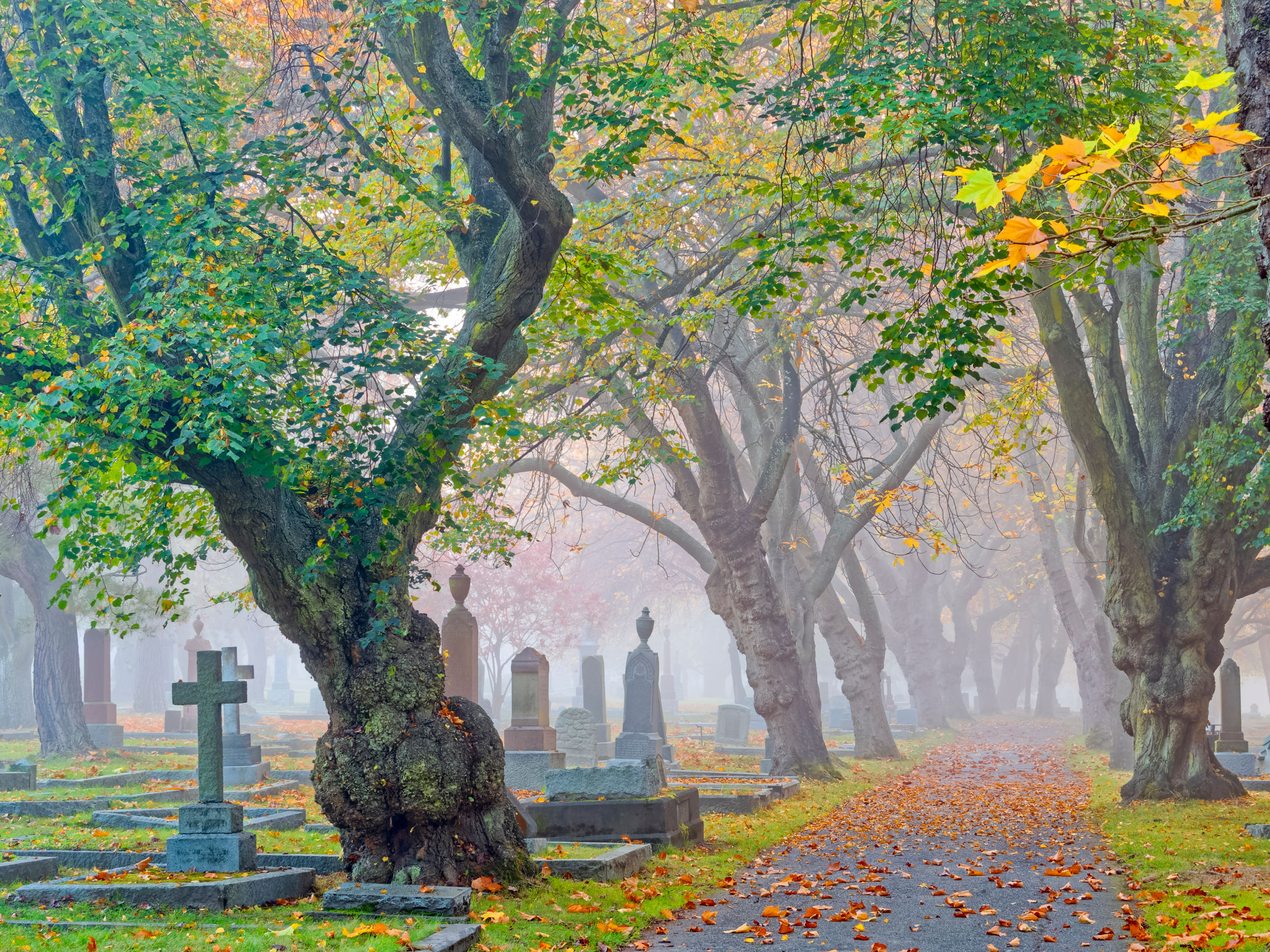 peaceful cemetery