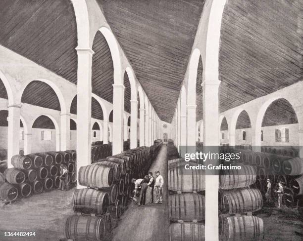 weinkeller mit fässern in jerez de la frontera spanien 1899 - jerez de la frontera stock-grafiken, -clipart, -cartoons und -symbole