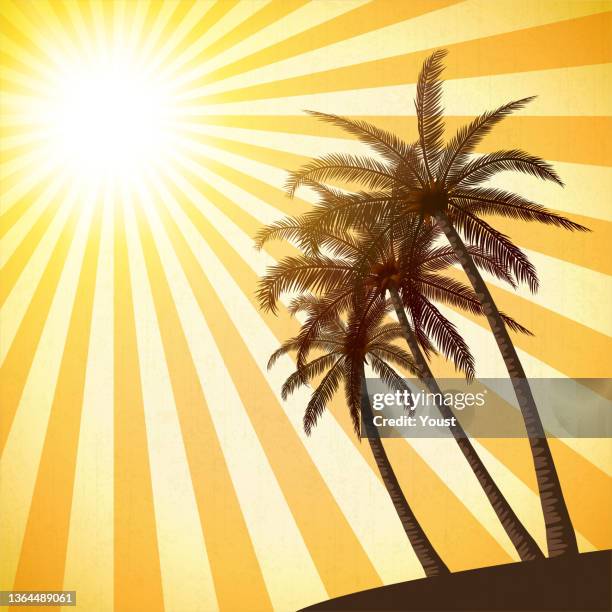 summer tropical sunset with palm trees. retro background. - qualification round stock illustrations