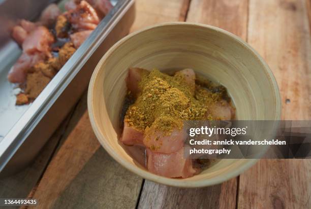 garam masala and rass el hanout chicken - garam masala stock pictures, royalty-free photos & images