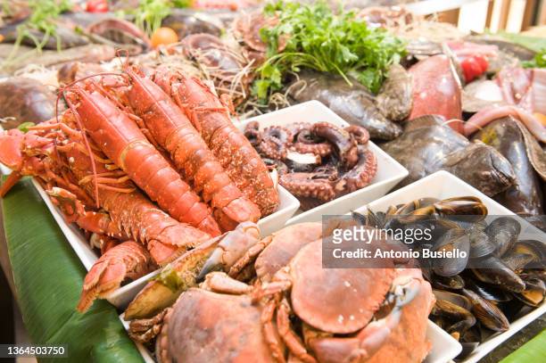 crustacean at a fish shop - clam seafood stock pictures, royalty-free photos & images