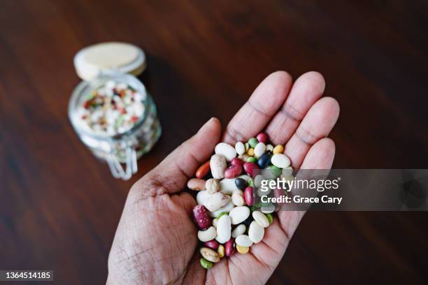 woman holds colorful array of mixed beans in palm of hand - a womans vigna stock-fotos und bilder